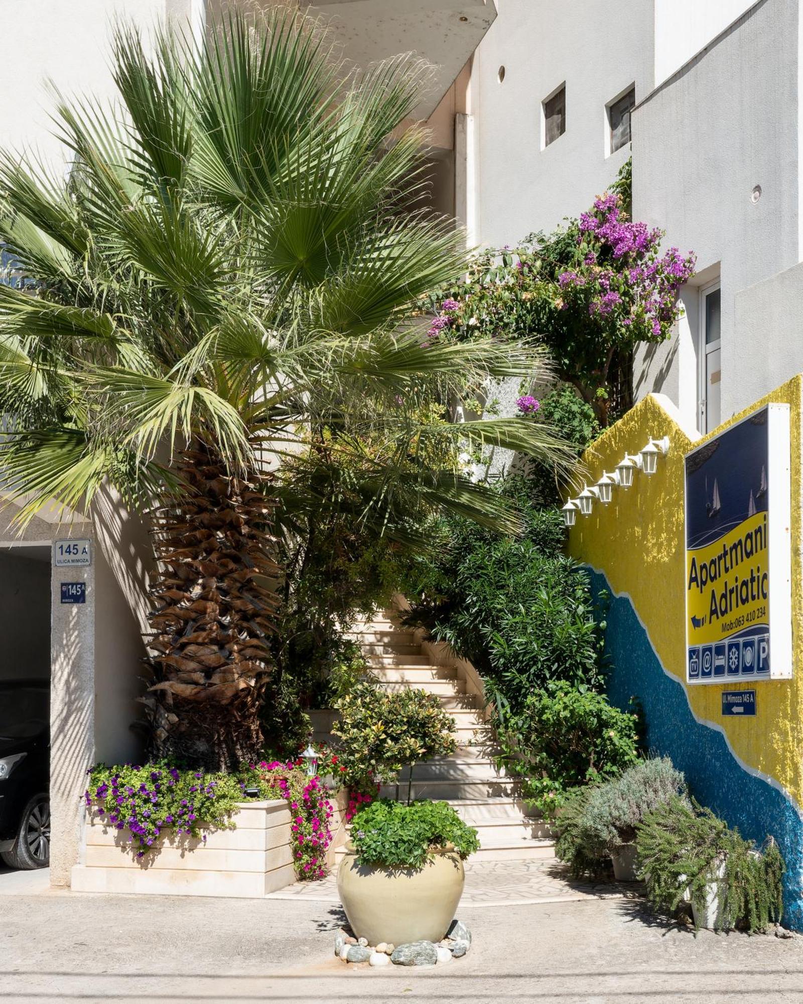 Adriatic Apartment Neum Εξωτερικό φωτογραφία